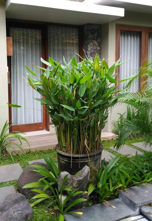 Hotel Uma Karan Kuta Lombok Exterior foto